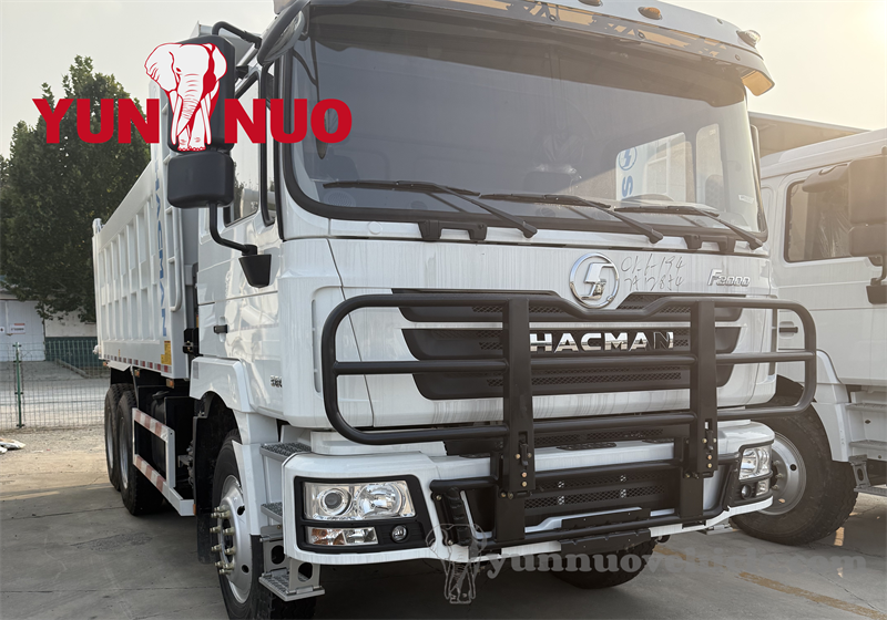 Un client tchadien vient acheter un camion benne SHACMAN